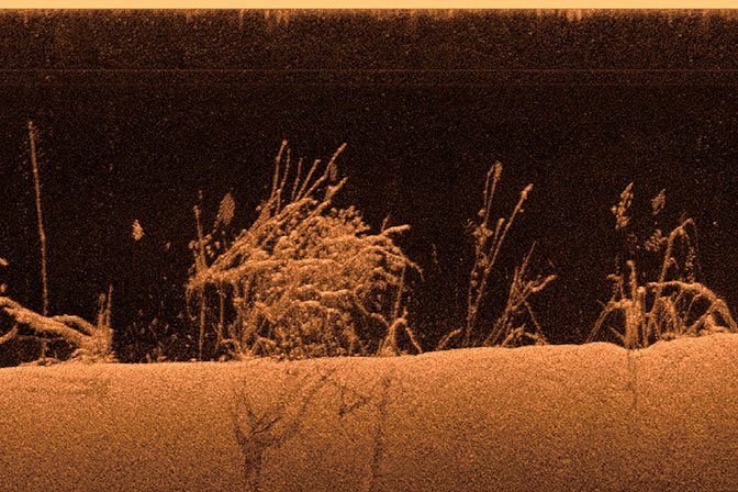 Ultra High-Definition ClearVü Scanning