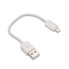 USB Type-A to Apple® Lightning Adapter Cable